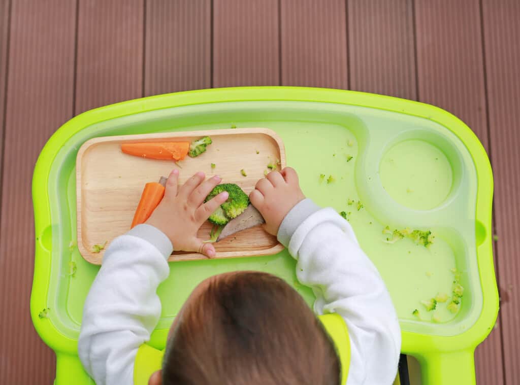 what is baby led weaning