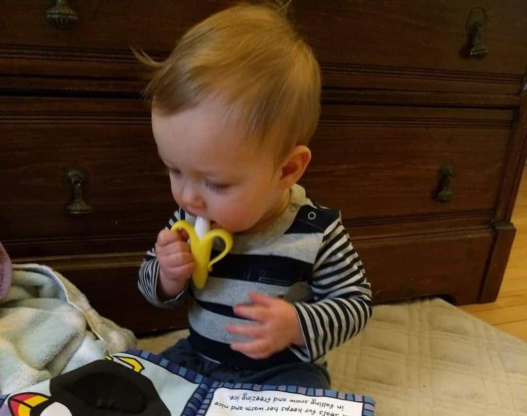 4 Best Multi-Purpose Teething Products To Help Your Baby!