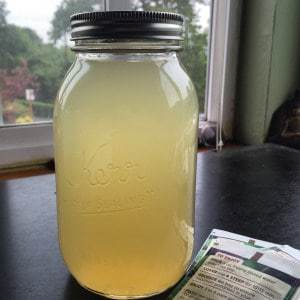 lemonade milk boosting recipes