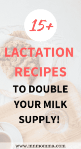 lactation recipes to double your milk supply
