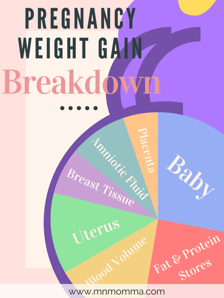 pregnancy weight gain breakdown