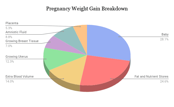 where pregnancy weight gain goes