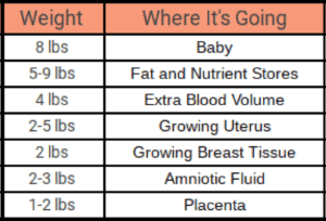 pregnancy weight gain breakdown chart