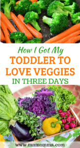 toddler won't eat vegetables - healthy snacks