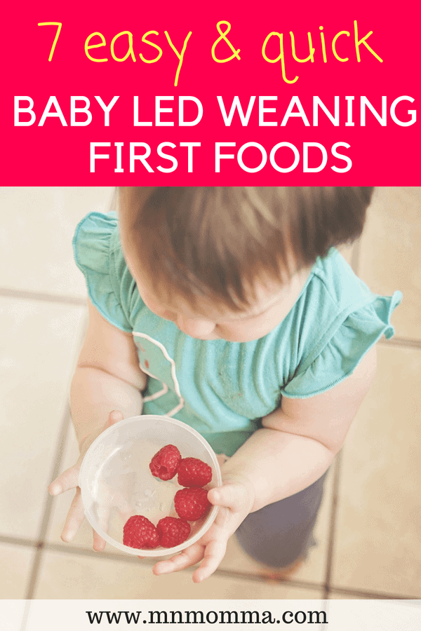 Baby Led Weaning Foods - First Food Ideas for Baby's starting solids