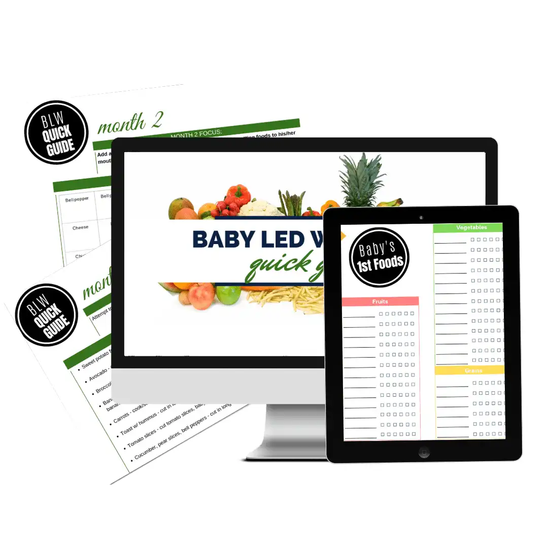 Baby-Led Weaning Guide and First Foods