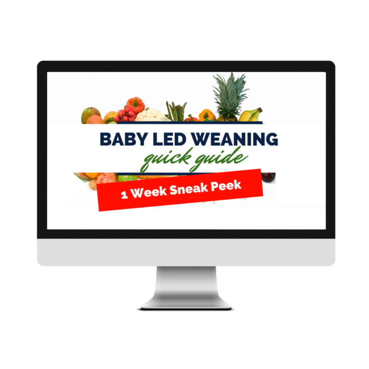 Baby Led Weaning Quick Guide Minnesota Momma