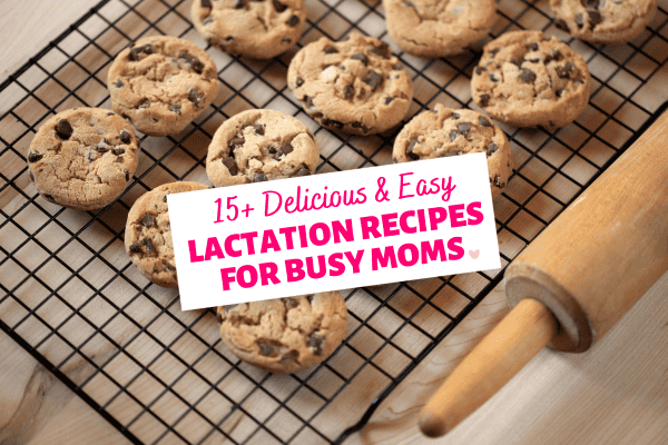 15+ Best Lactation Recipes & Snacks for Pumping Moms