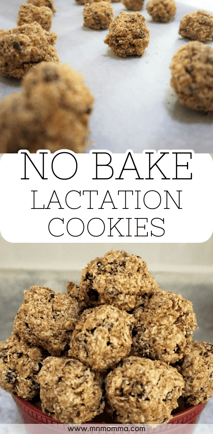 15+ Best Lactation Recipes & Snacks for Pumping Moms