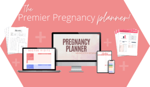 Pregnancy Planner 1 - Minnesota Momma