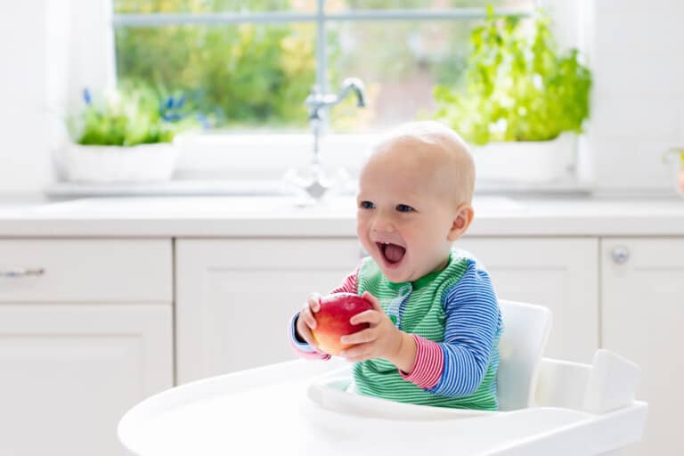 Best High Chair for Baby Led Weaning