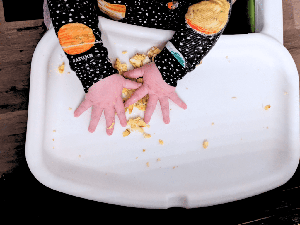 baby hands grabbing scrambled eggs on a white high chair tray, while self feeding and eating through baby led weaning