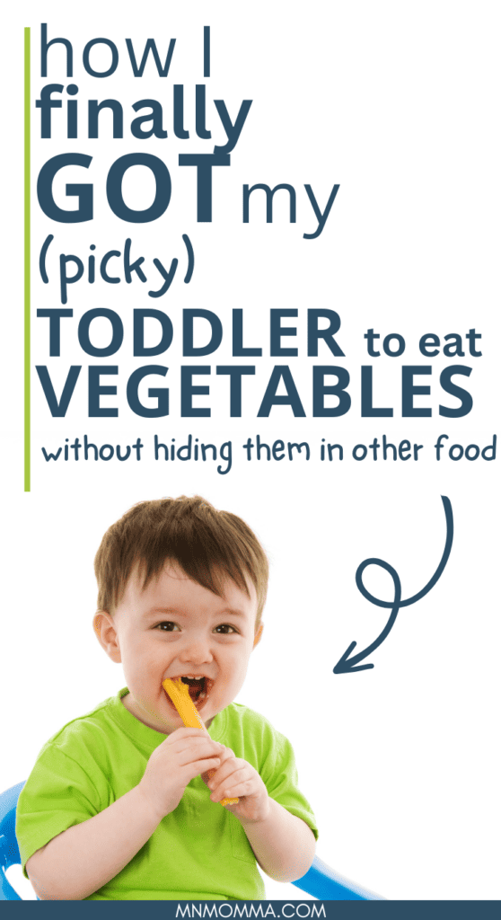 Toddler Not Eating: How I Got My Toddler to Love Vegetables Again