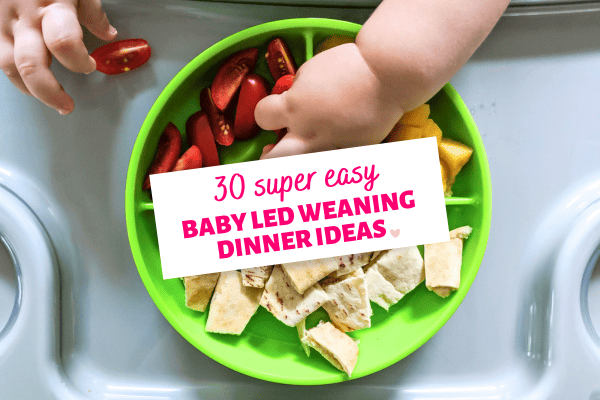 30 Easy Baby Led Weaning Dinner Ideas for Family Meals