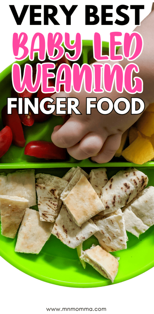 best Baby Led Weaning finger food