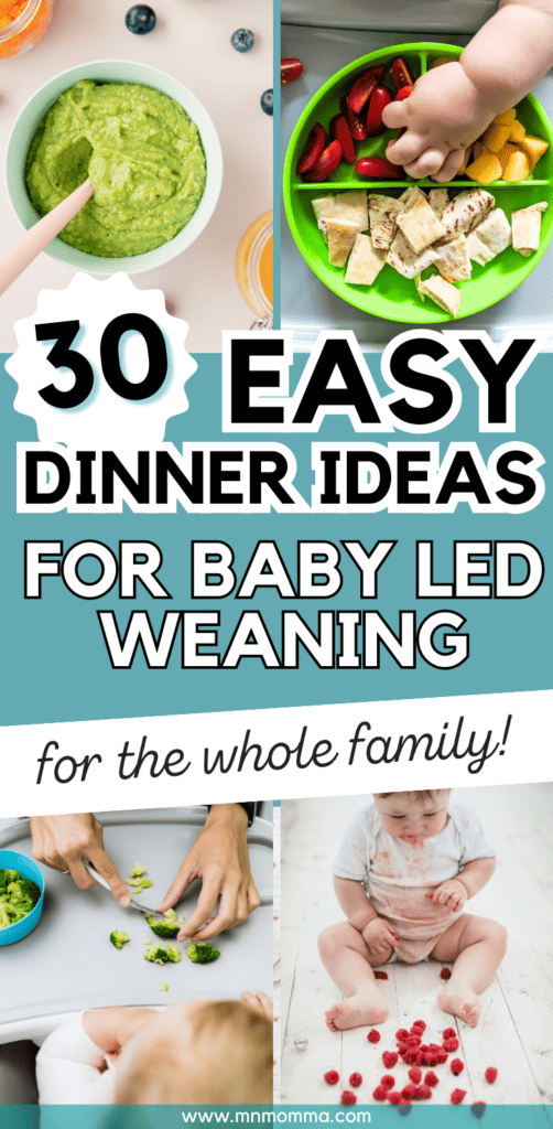 easy Baby Led Weaning dinner Ideas for the whole family