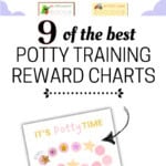 Pinterest Hidden Image
