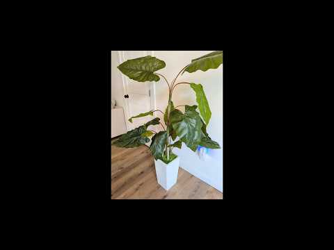 Is this 5.5ft Artificial Plant Worth It? A Quick Look