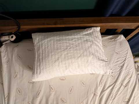 ZPECC Toddler Pillow with Pillowcase: 13×18 Organic Cotton Hypoallergenic Kids Pillow