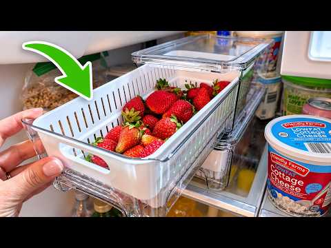Freshness with a 4-Pack Fruit Storage Containers